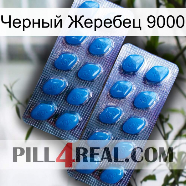 Черный Жеребец 9000 viagra2.jpg